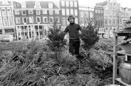 Kerstbomen op bloemenmarkt aan het Singel te Amsterdam, Bestanddeelnr 927-6272