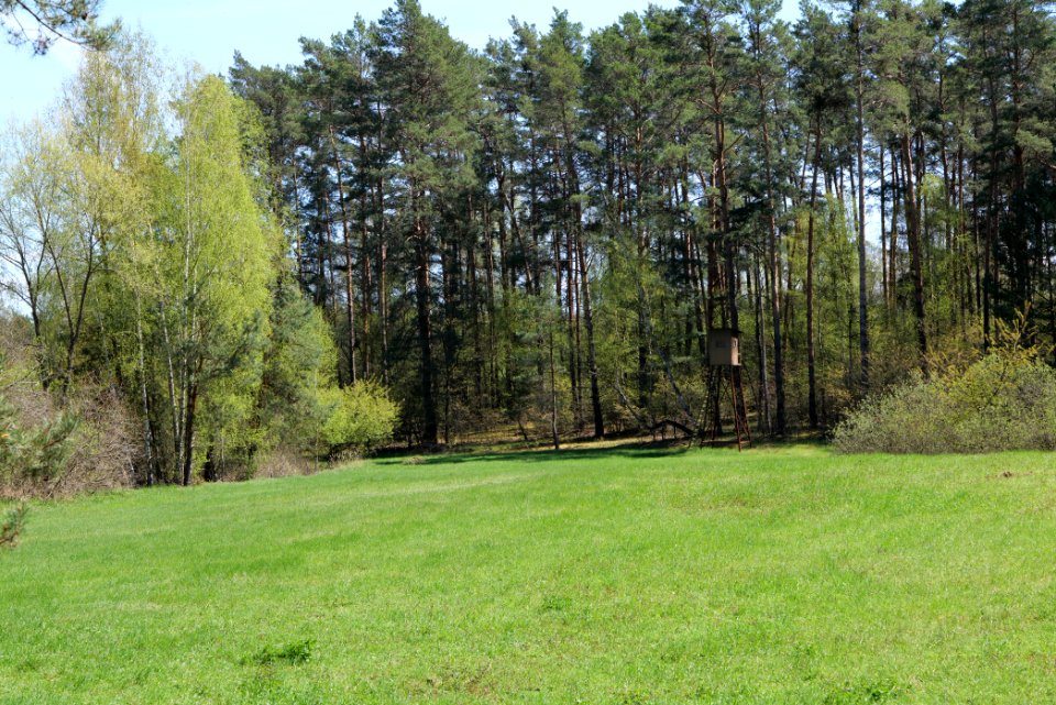Kleine und Mittelleber 2021-05-09 23