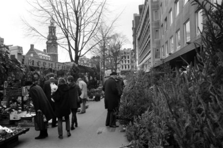 Kerstbomen op Singel Amsterdam, Bestanddeelnr 925-2509