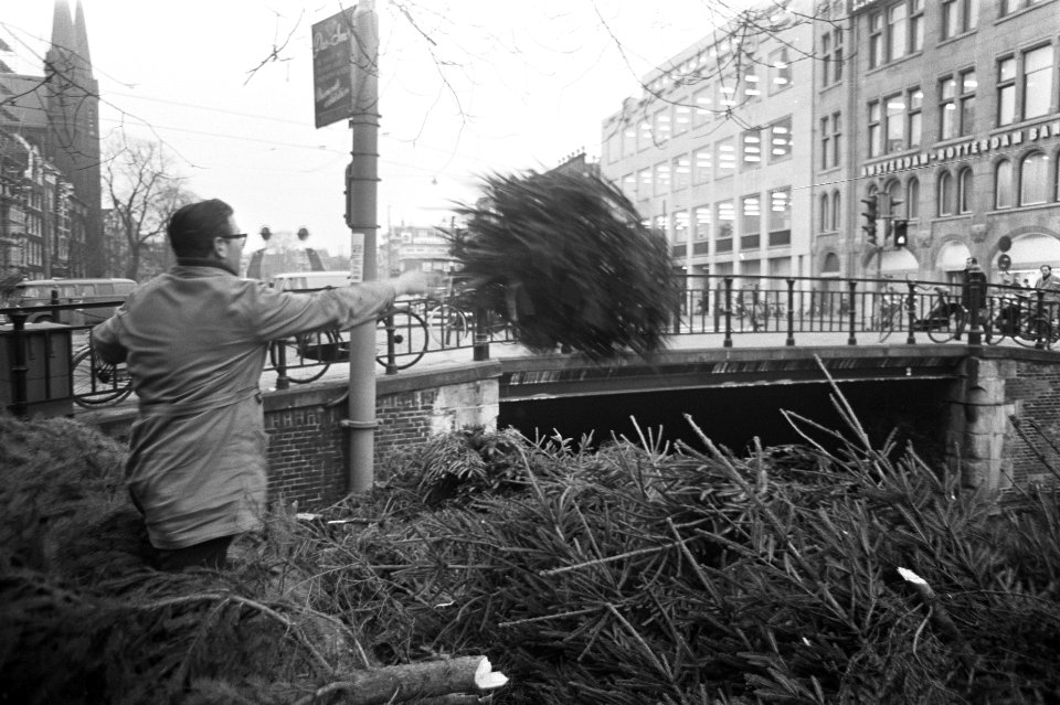 Kerstbomen op Bloemsingel (Amsterdam), Bestanddeelnr 921-9112