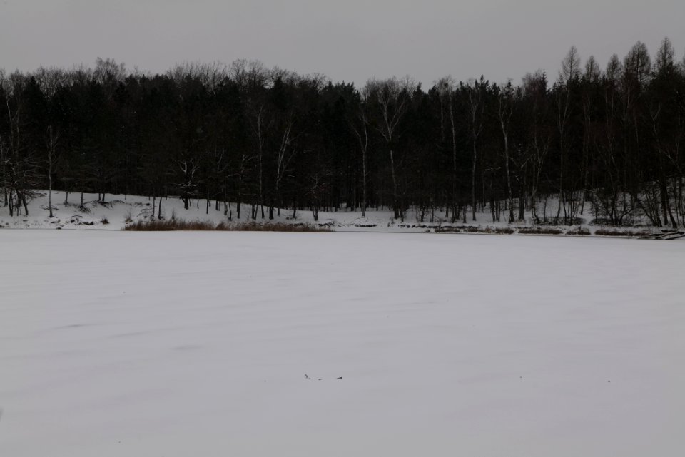 Kleiner Lienewitzsee with snow 2021-02-07 01