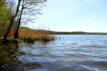 Kleiner Zeschsee 2021-05-09 16