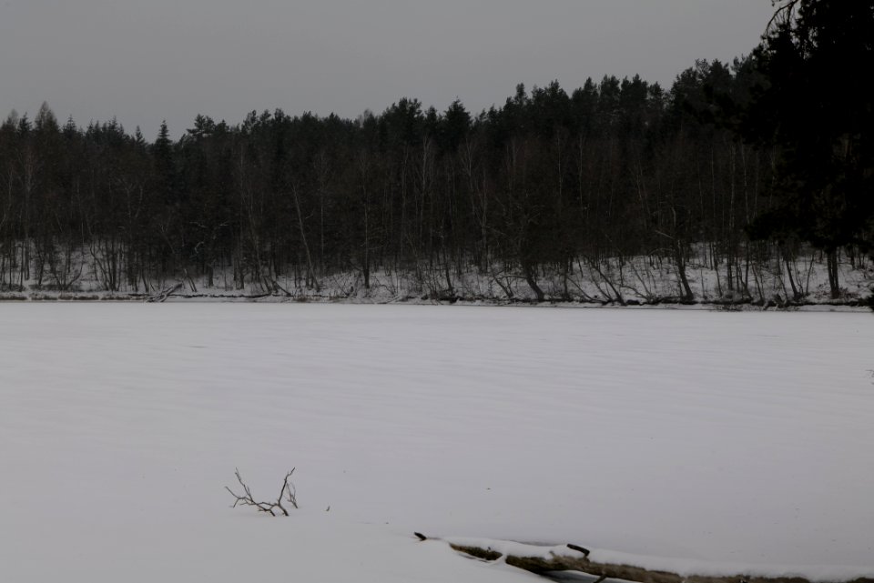 Kleiner Lienewitzsee with snow 2021-02-07 19