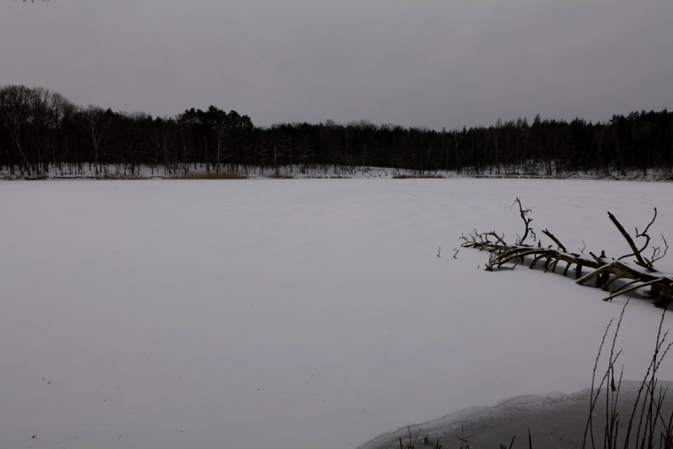 Kleiner Lienewitzsee with snow 2021-02-07 14