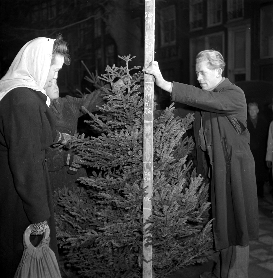 Kerstmis. Een kerstboom wordt opgemeten, Bestanddeelnr 901-2566