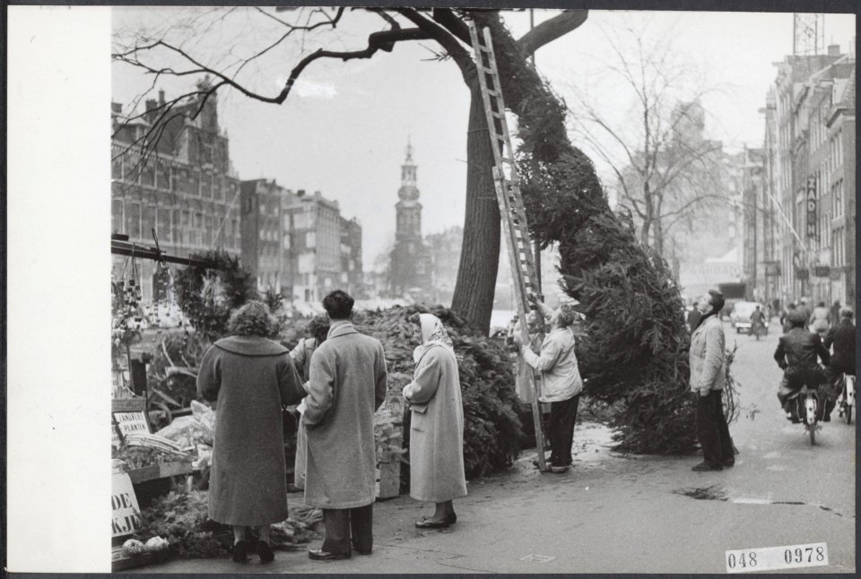 Kerstmis, bomen, handel, Bestanddeelnr 048-0978