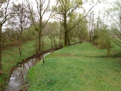 Kleines Sulzbächle (2)