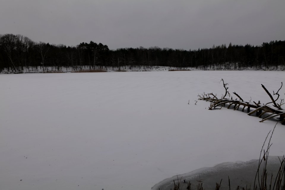 Kleiner Lienewitzsee with snow 2021-02-07 13