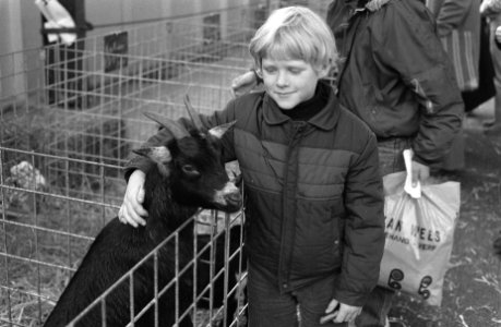 Kleine dieren tentoonstelling in Amsterdamse RAI, kind met geitje op tentoonstel, Bestanddeelnr 931-1780