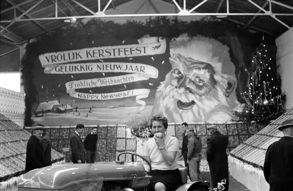 Kerstfruitveiling in Houten, Bestanddeelnr 913-2857