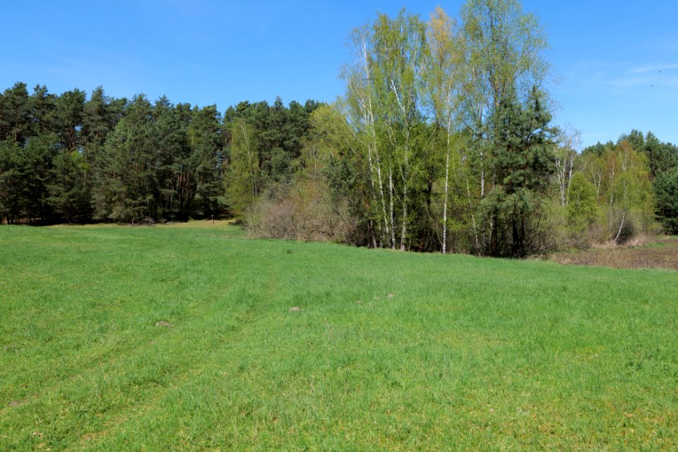 Kleine und Mittelleber 2021-05-09 16