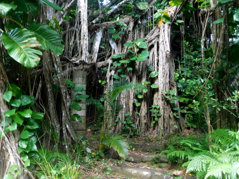 Kitamura Elementary School ruins at Hahajima
