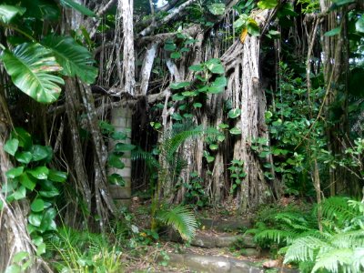 Kitamura Elementary School ruins at Hahajima