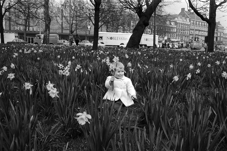 Kleuter tussen bloeiende narcissen, Bestanddeelnr 924-4301