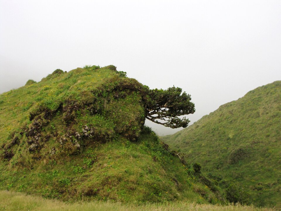 Green hill scenery