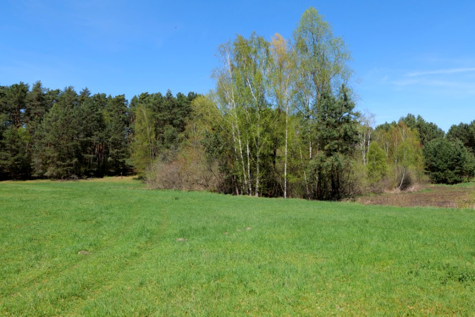 Kleine und Mittelleber 2021-05-09 18