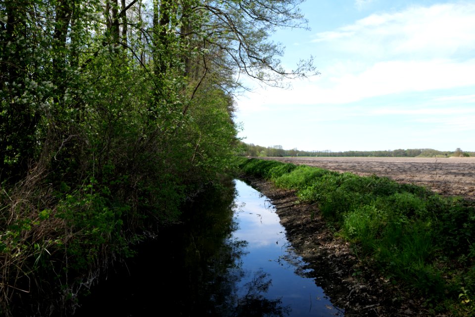 Kleines Wünsdorfer Fließ 2021-05-09 02