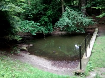 Kleiner Weiher, Innsbruck