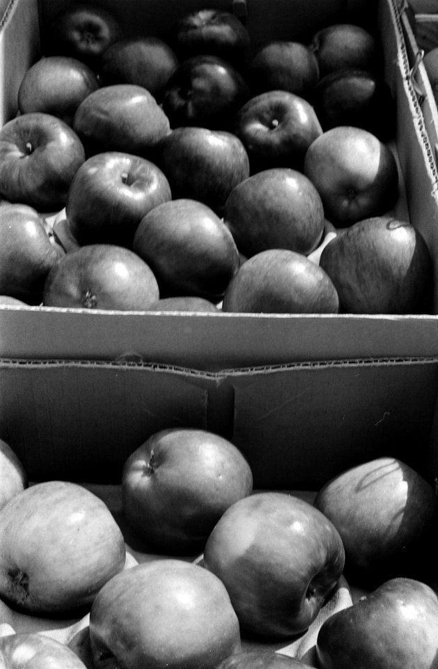 Kist met appels, Bestanddeelnr 922-5356