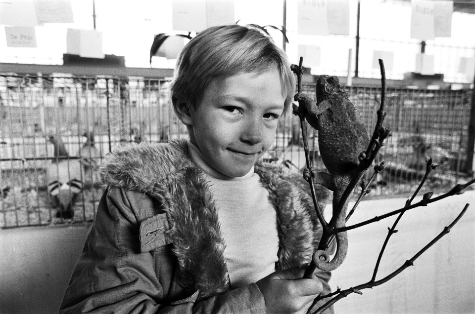 Kleinhuisdierententoonstelling in RAI meisje met kameleon, Bestanddeelnr 930-0156