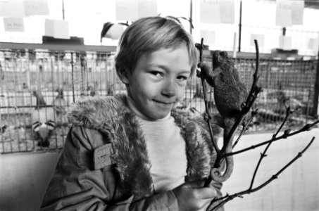 Kleinhuisdierententoonstelling in RAI meisje met kameleon, Bestanddeelnr 930-0156