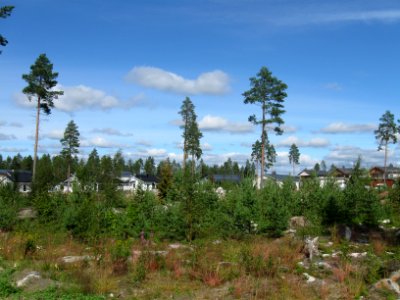 Kivikkokangas Lumilaudantie