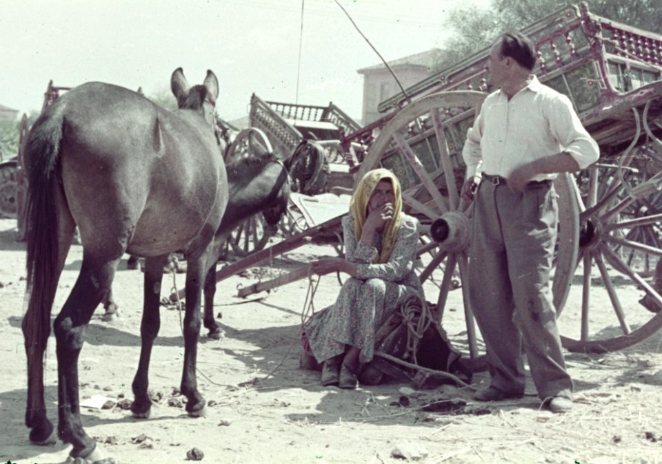 Kleurenfoto (verbleekt) van een echtpaar, karren en een paard of muildier, Bestanddeelnr 254-6545