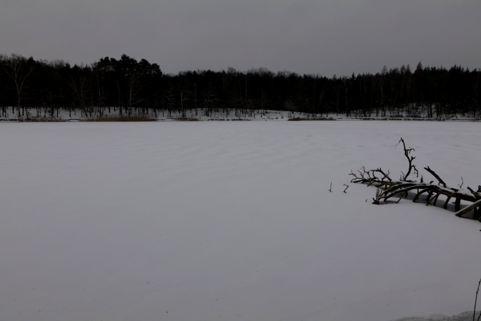 Kleiner Lienewitzsee with snow 2021-02-07 15
