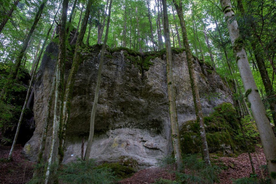 Kletterfelsen UFA-Palast 01