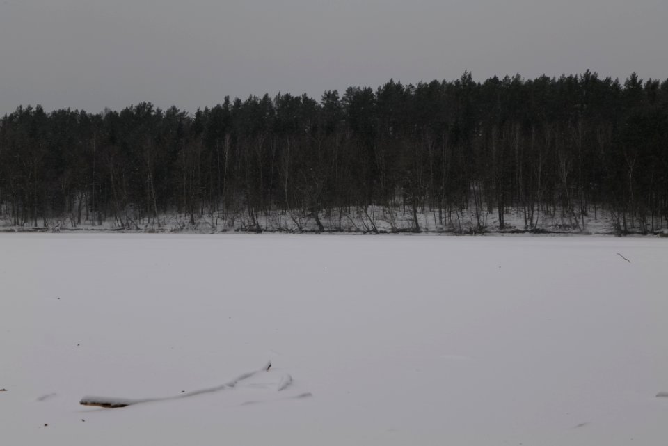 Kleiner Lienewitzsee with snow 2021-02-07 21