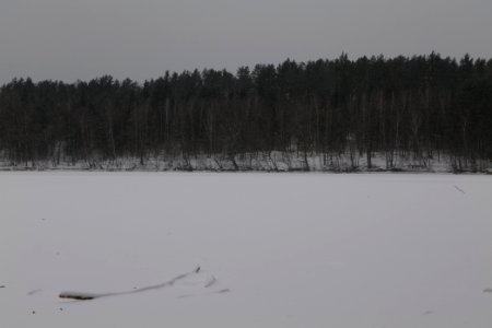 Kleiner Lienewitzsee with snow 2021-02-07 21