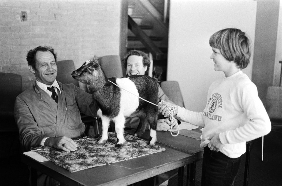 Kleinhuisdierententoonstelling in RAI jongen toont geitje aan jury, Bestanddeelnr 930-0154