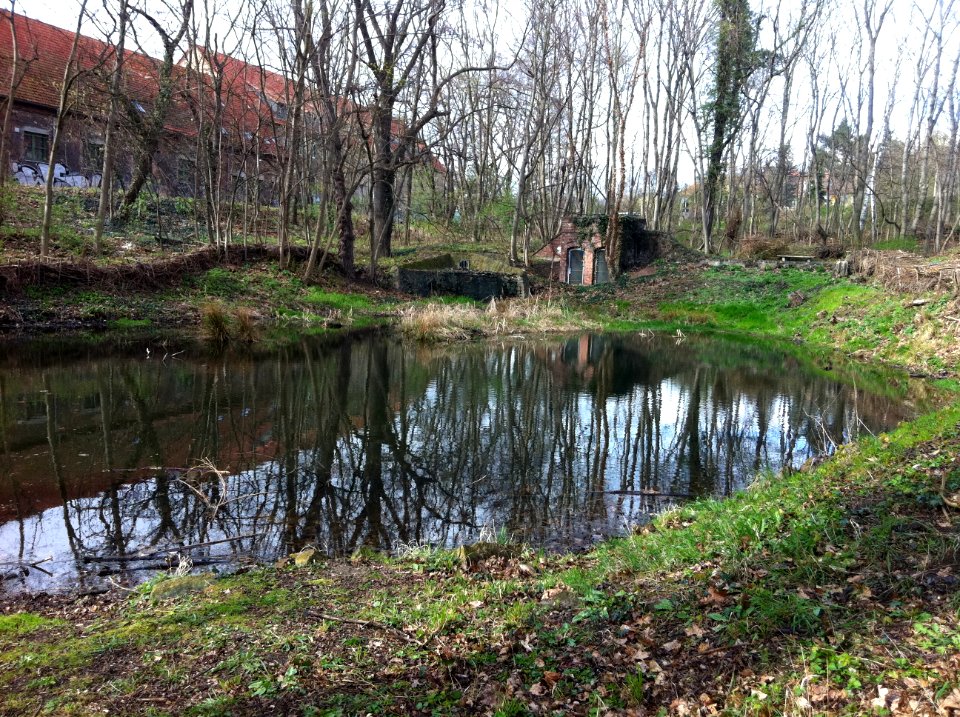 Kleiner Kreuzer Teich 01