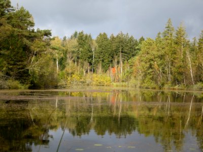 Kitzelsee 1