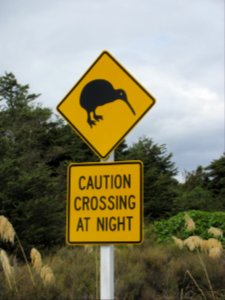 Kiwi warning photo