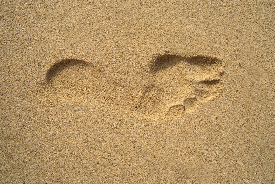 Sand tracks in the sand footprints in the sand