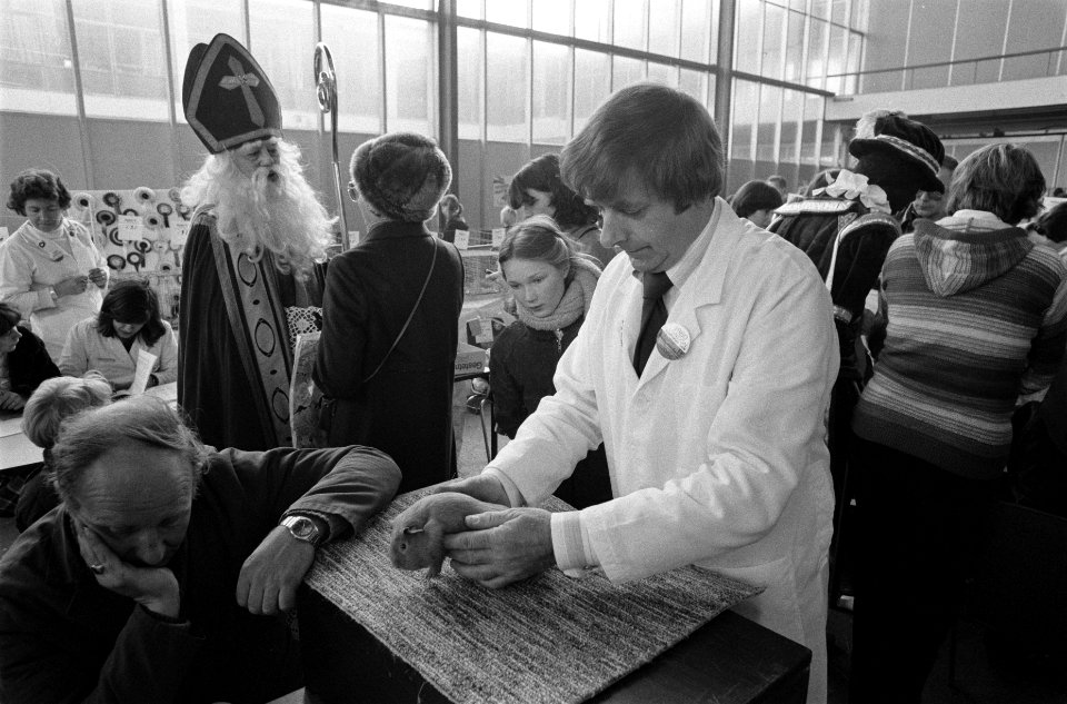 Kleine dieren tentoonstelling in Amsterdamse RAI, cavia wordt gekeurd, Sinterkla, Bestanddeelnr 931-1781