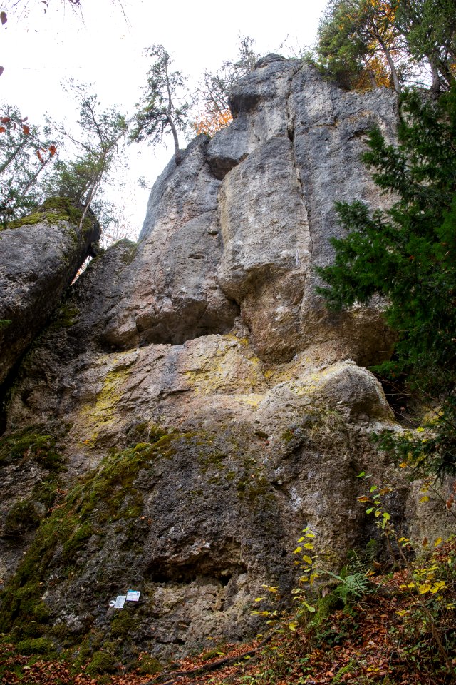 Kletterfelsen Treusteiner Wand 001