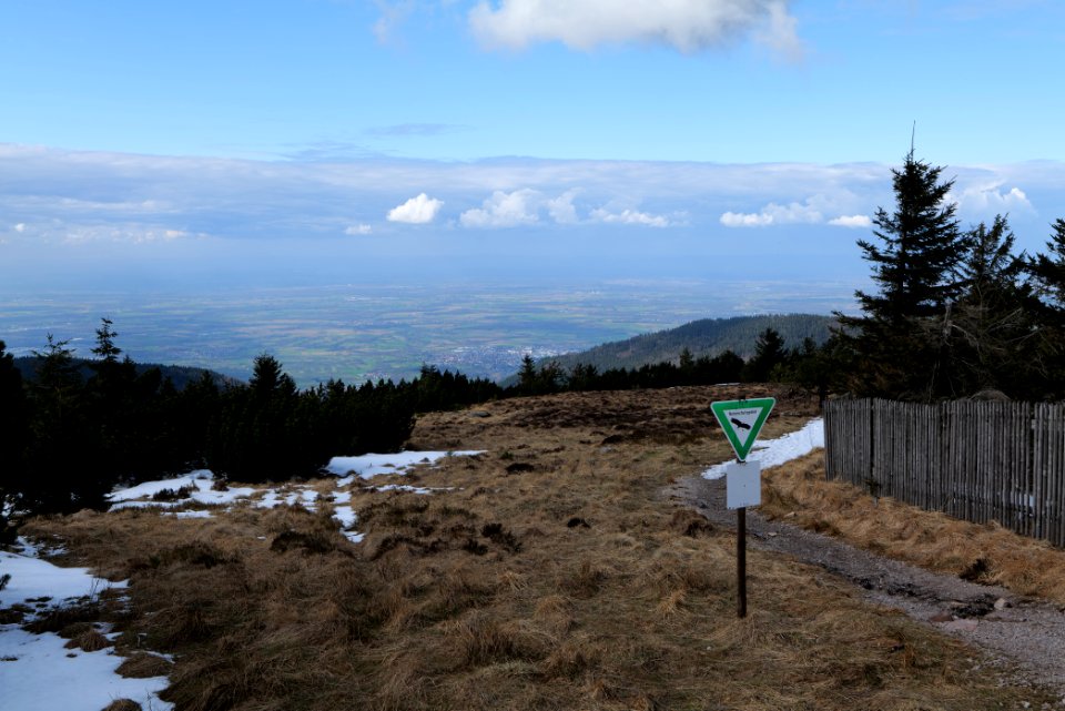 Kleine Grinde 2020-03-14 01
