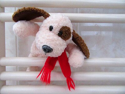 Wash doggy toys