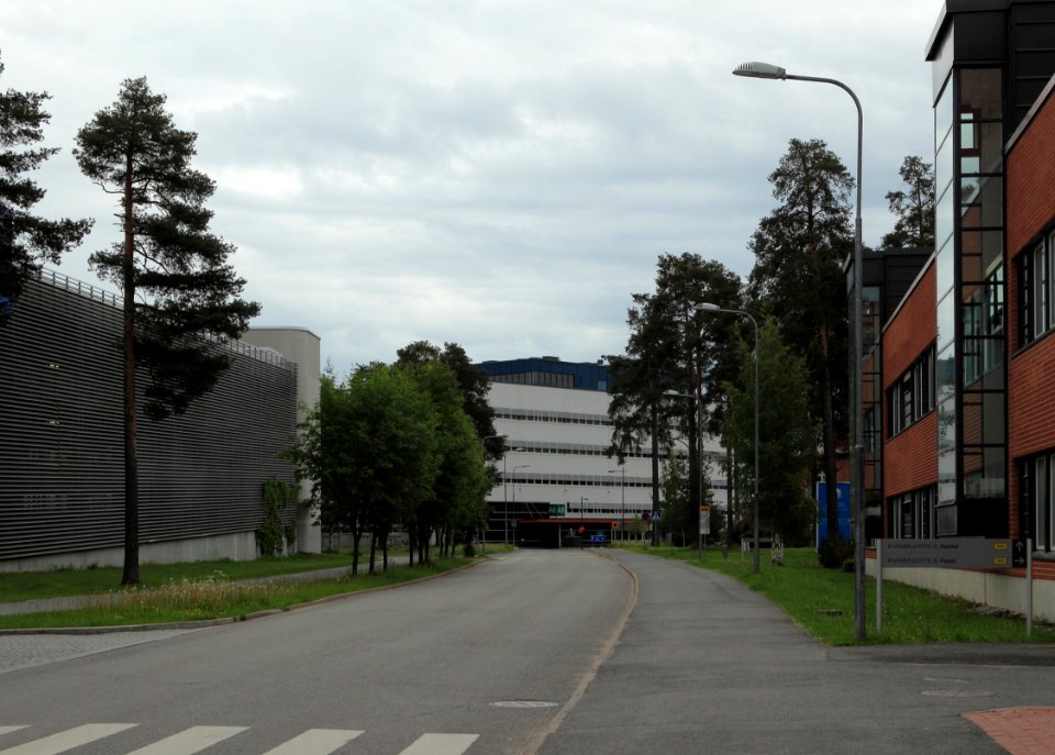 Kiviharjuntie Oulu 20150629
