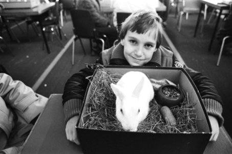 Kleinhuisdierententoonstelling in RAI jongen met konijn, Bestanddeelnr 930-0155