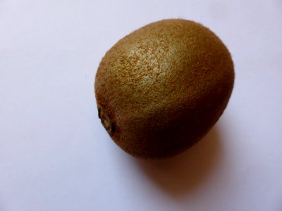 Kiwi-1 photo