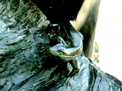 Kircheisen,Eugen - L.Richter 20