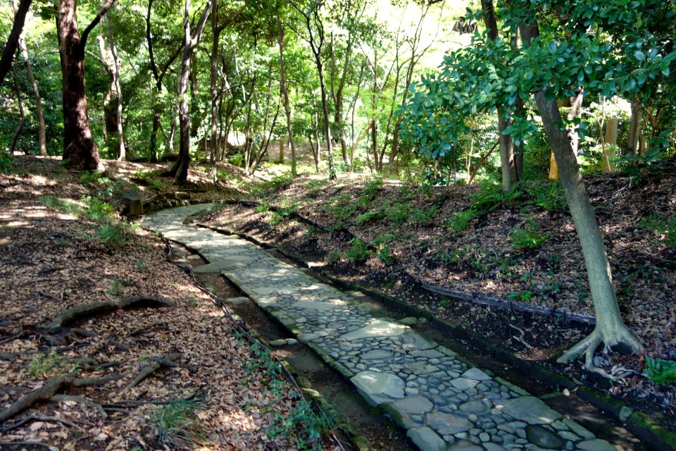 Kiso-yama path - Koishikawa Korakuen - DSC09205