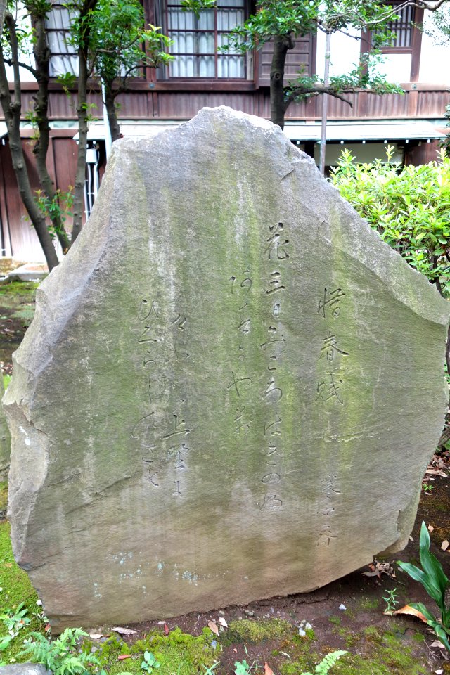 Kiyomizu Kannondo - Ueno Park, Tokyo - DSC08011