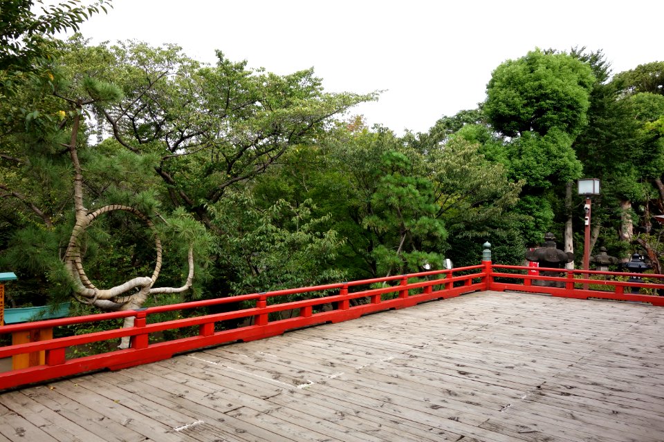 Kiyomizu Kannondo - Ueno Park, Tokyo - DSC08007