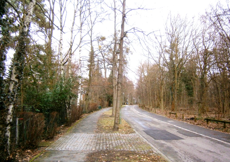 Kladow Sibeliusweg N 2