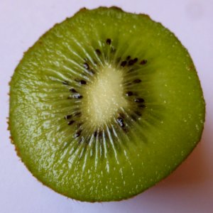Kiwi-halbiert