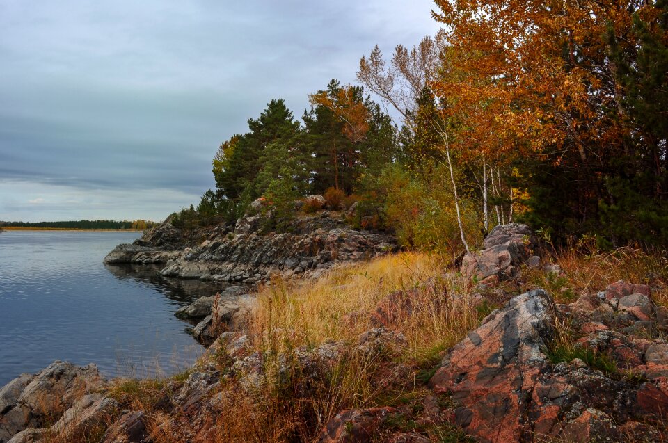 River trees autumn